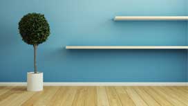 Amazing facts about hardwood flooring | Flooring Services London Amazing facts about hardwood flooring | Flooring Services London