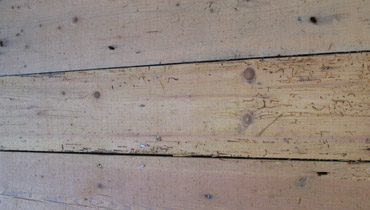 Excellent floor boards repair in London