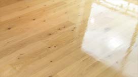 Floor polishing