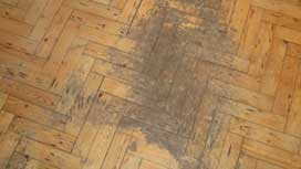 High quality parquet floor repair
